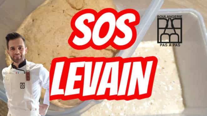 SOS-levain-boulangeriepasapas